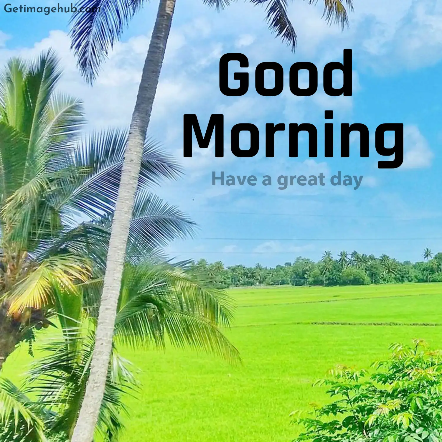 Village Good Morning HD Pic