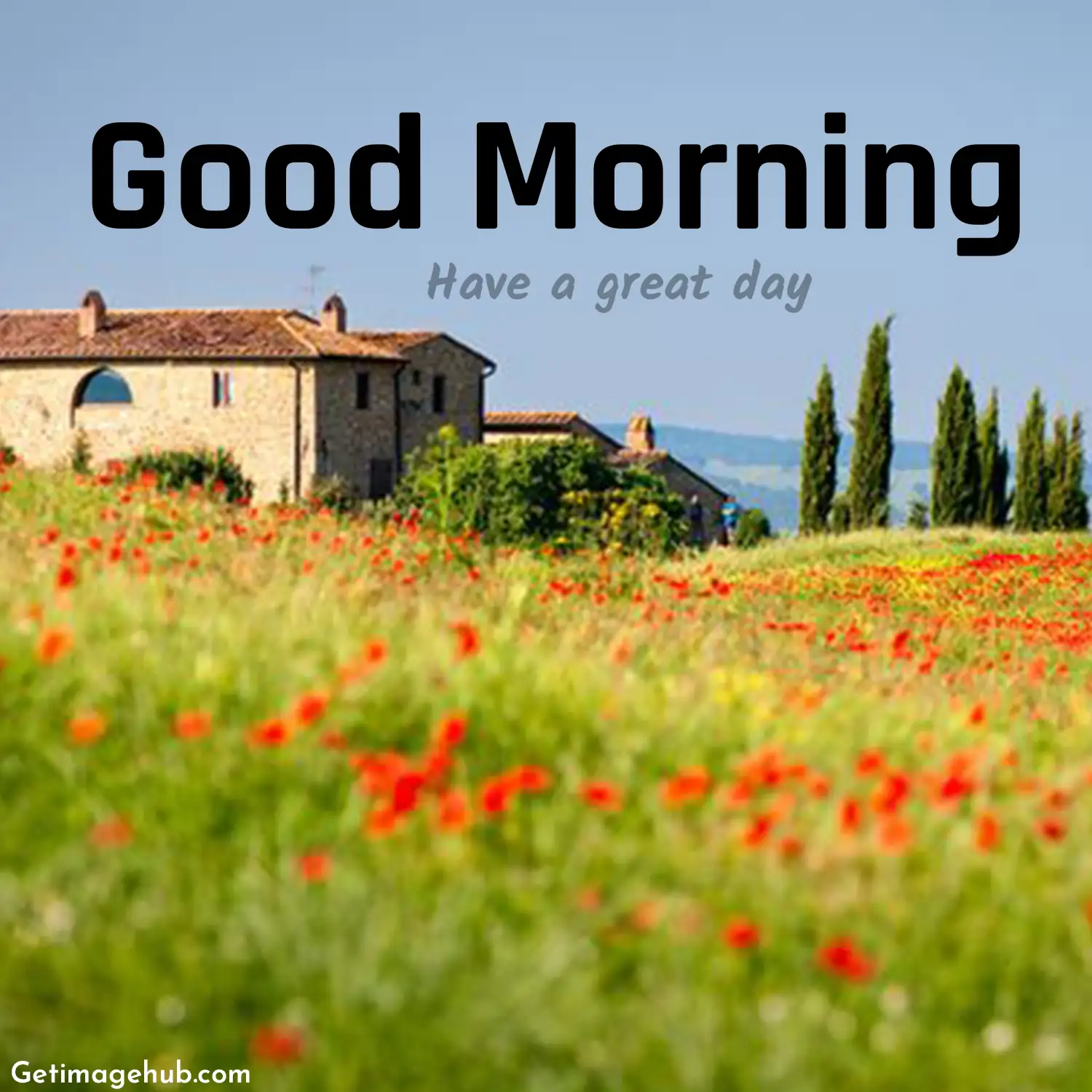 Village Good Morning Images HD
