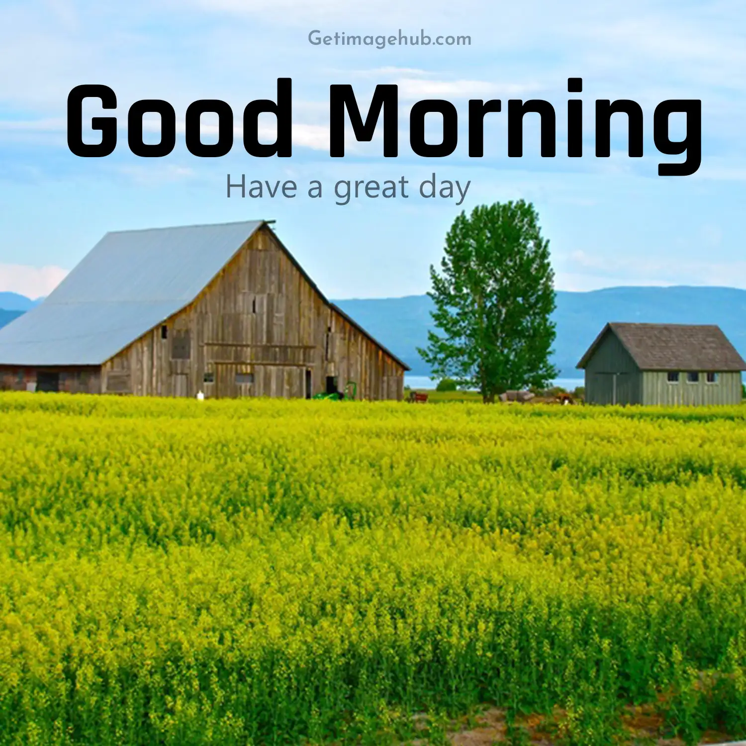 Village Good Morning Nature Picture