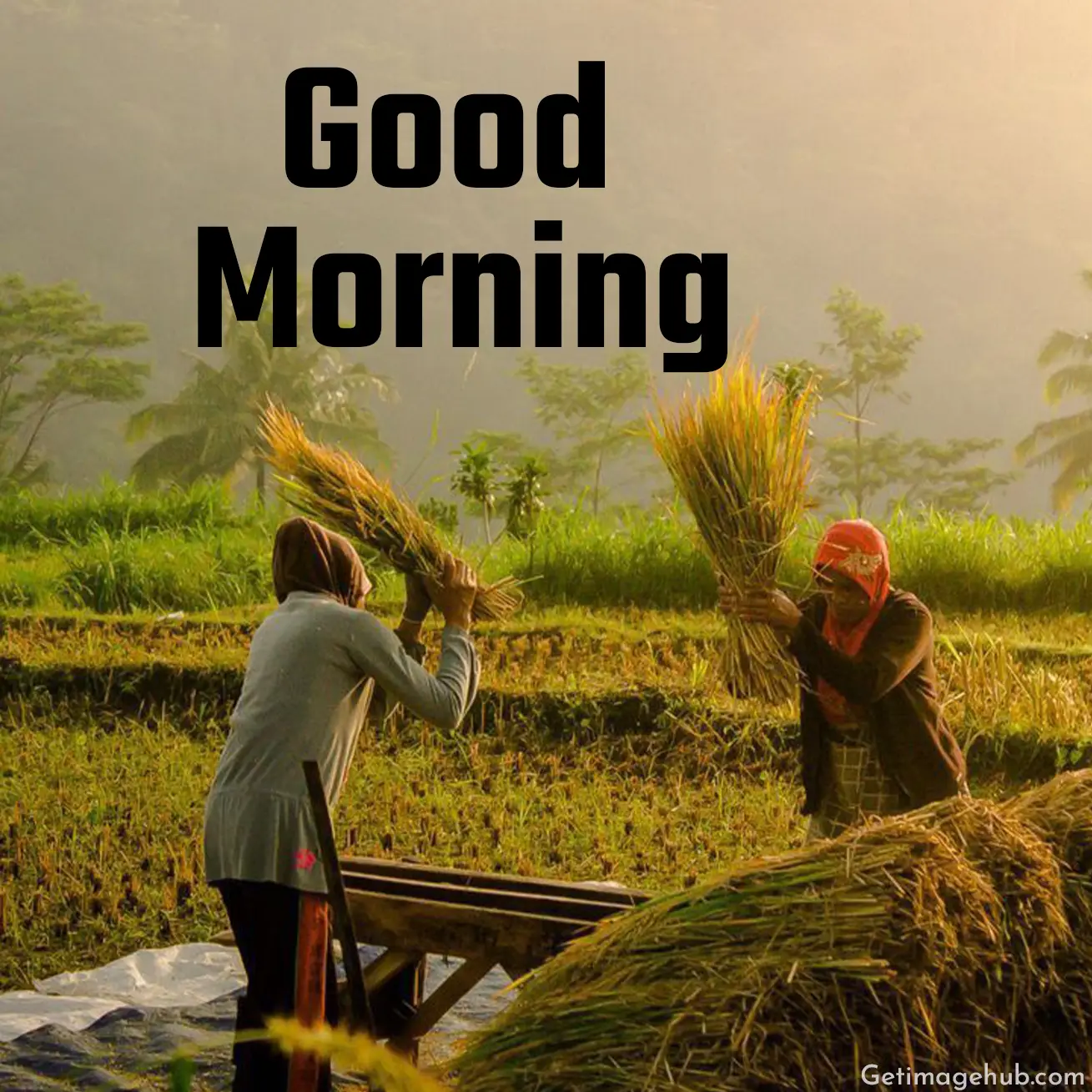Village Good Morning Photo