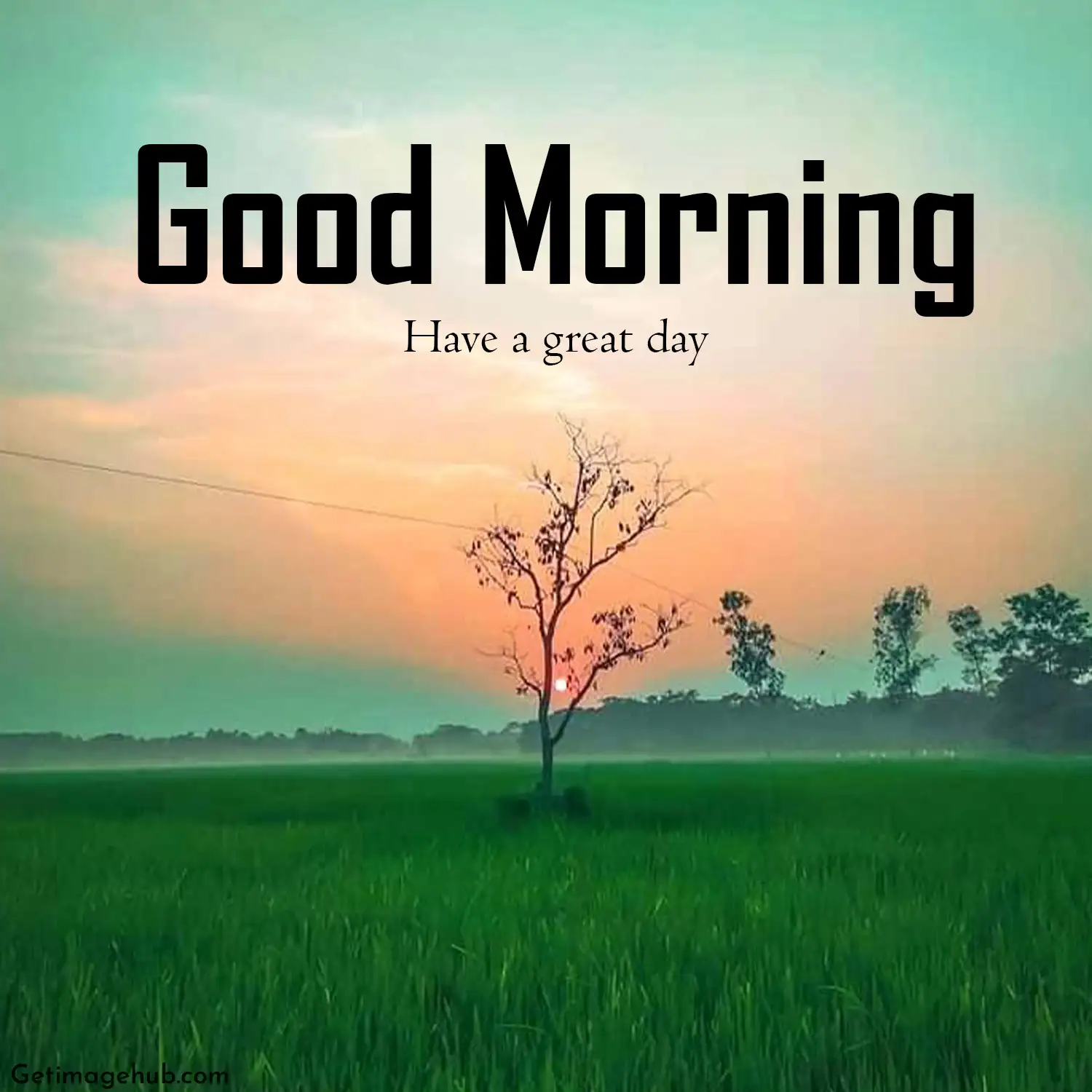 Village Good Morning Pic