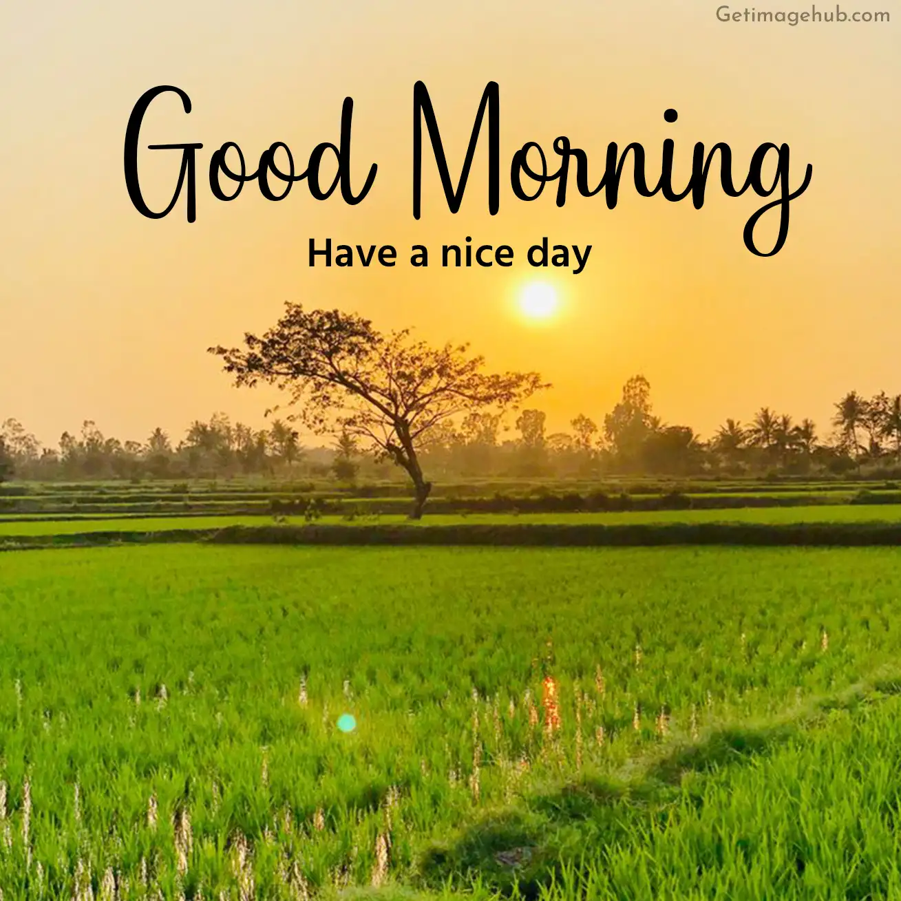 Village Morning Images to Wish Everyone