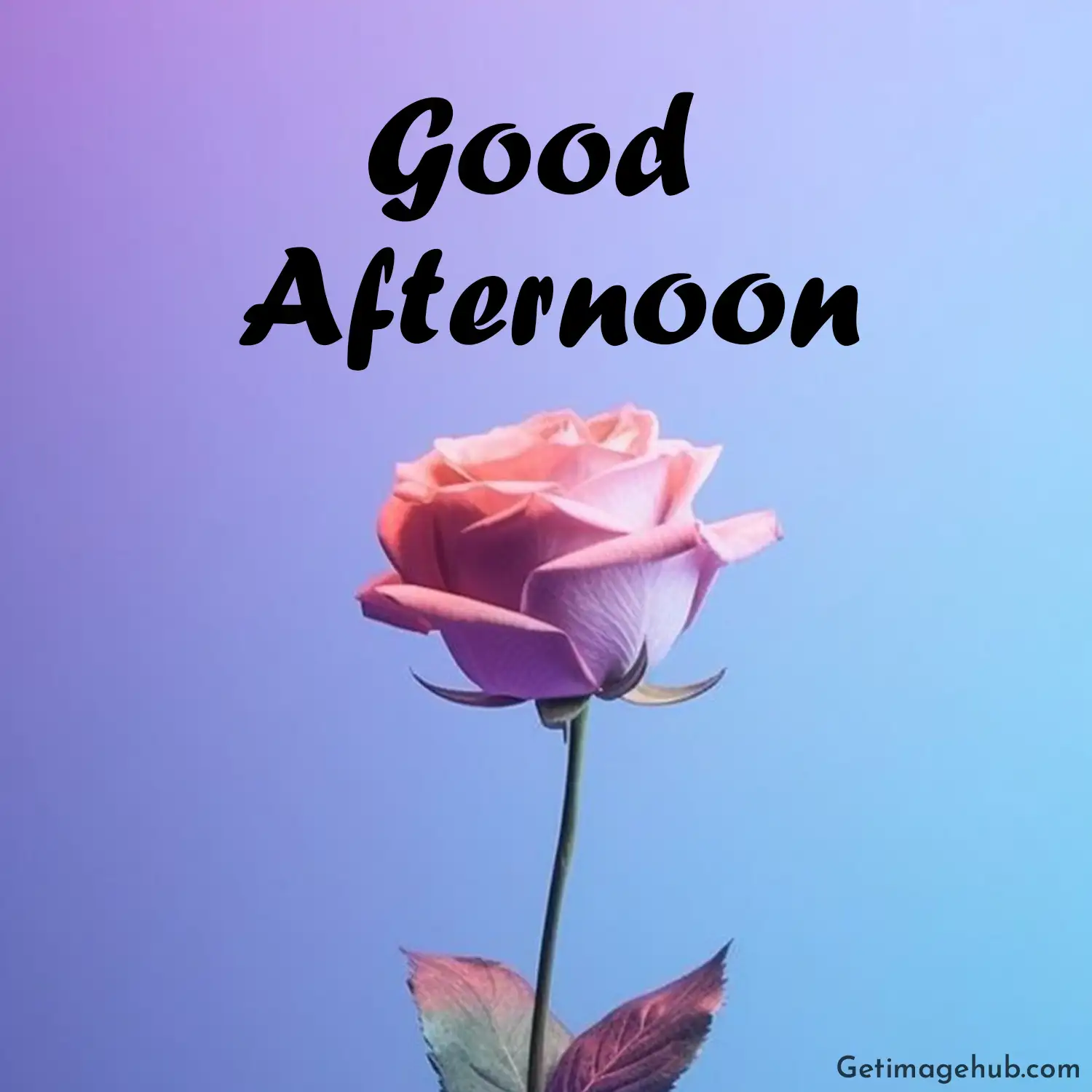 good afternoon wishes images