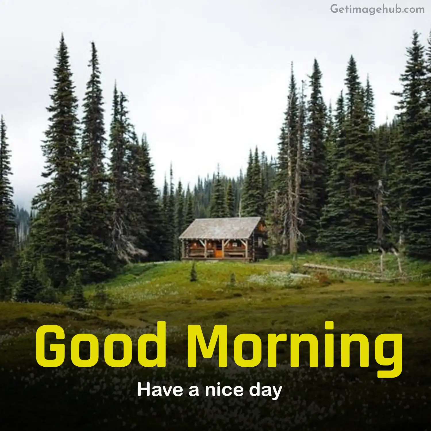good morning images with nature in village