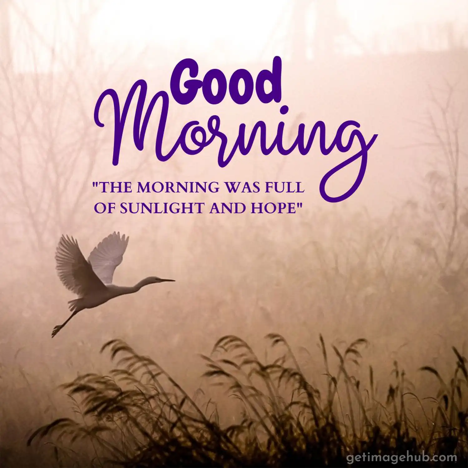 good morning images with positive