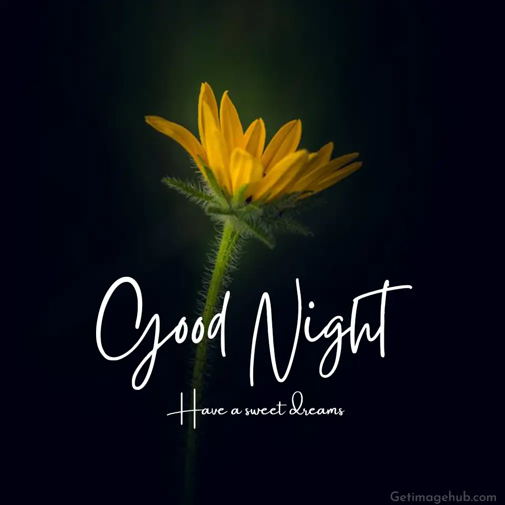 good night images flower