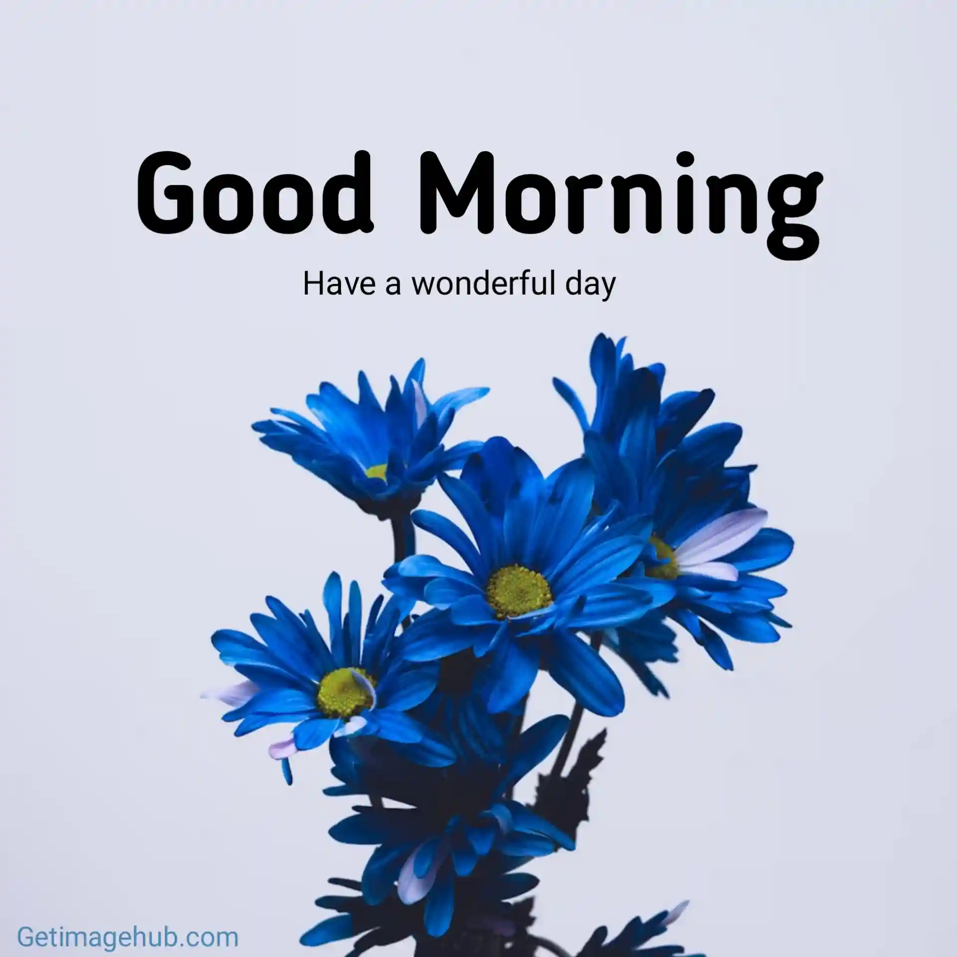 lovely images for good morning