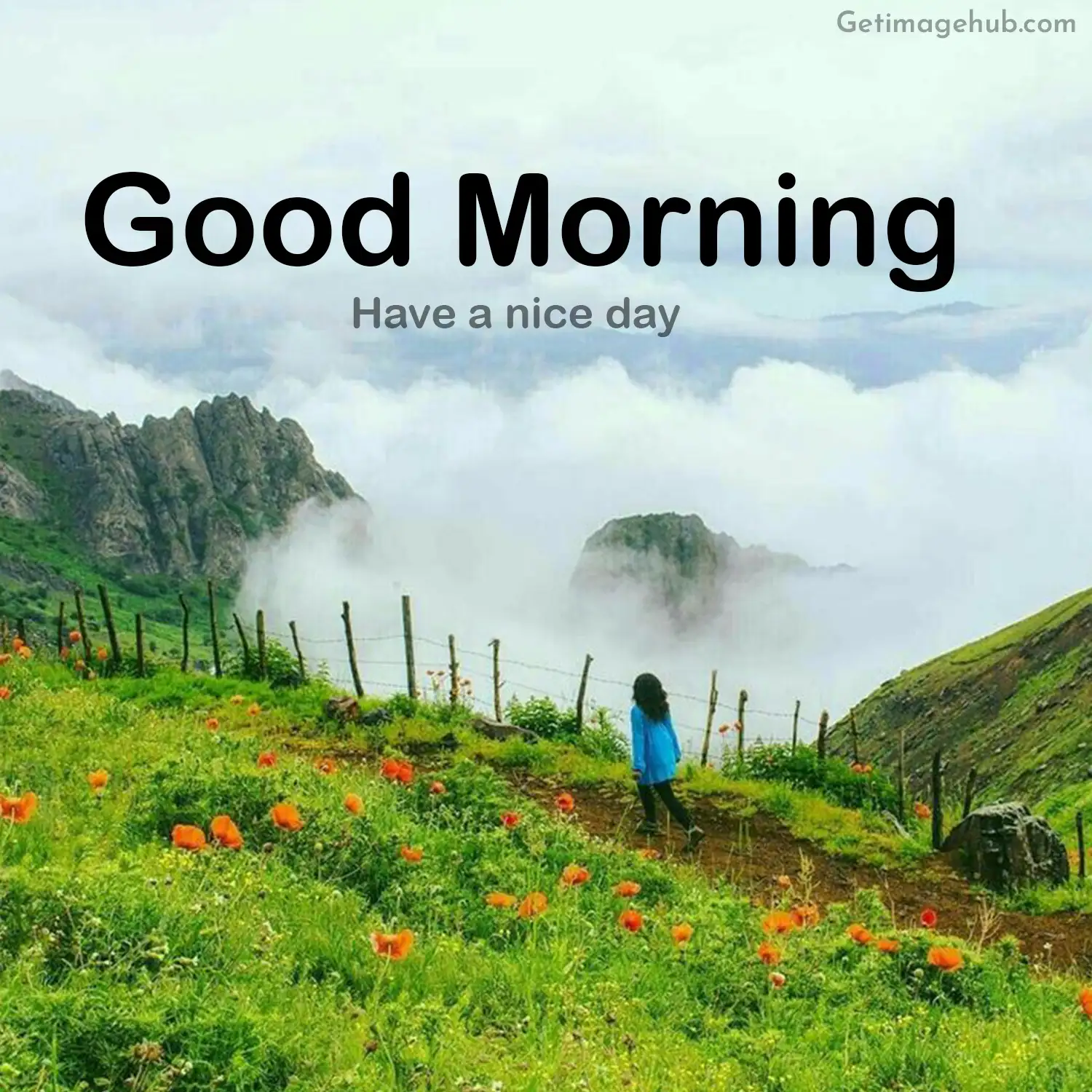 nature village natural beauty good morning images