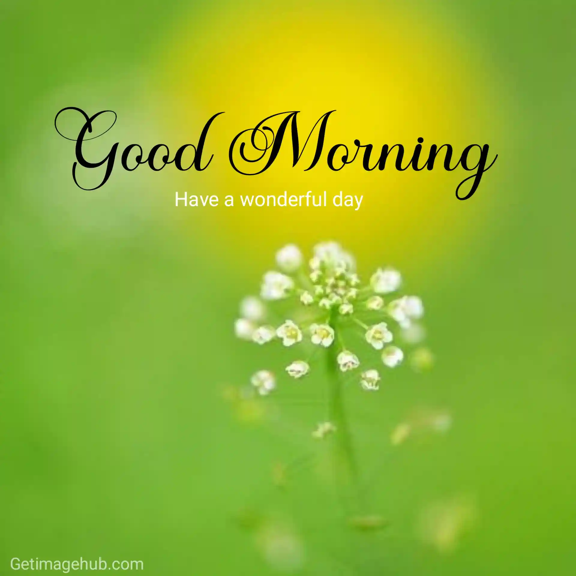 new good morning images