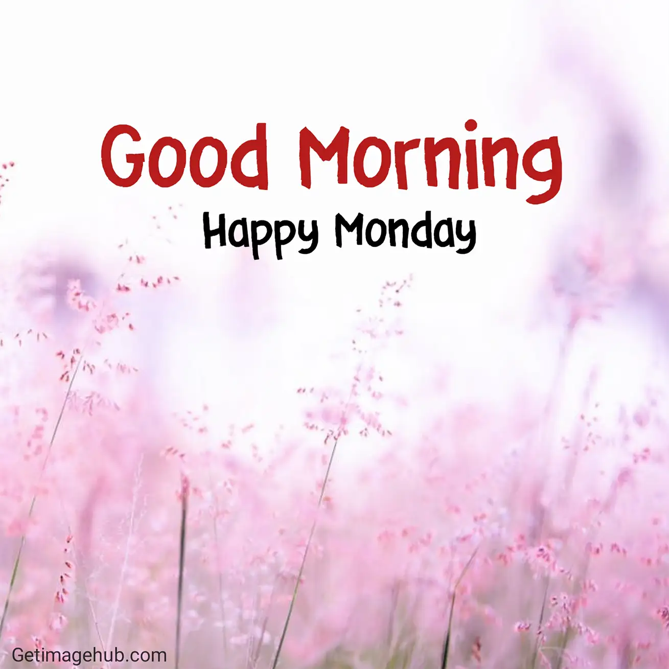 Beautiful Good Morning Monday