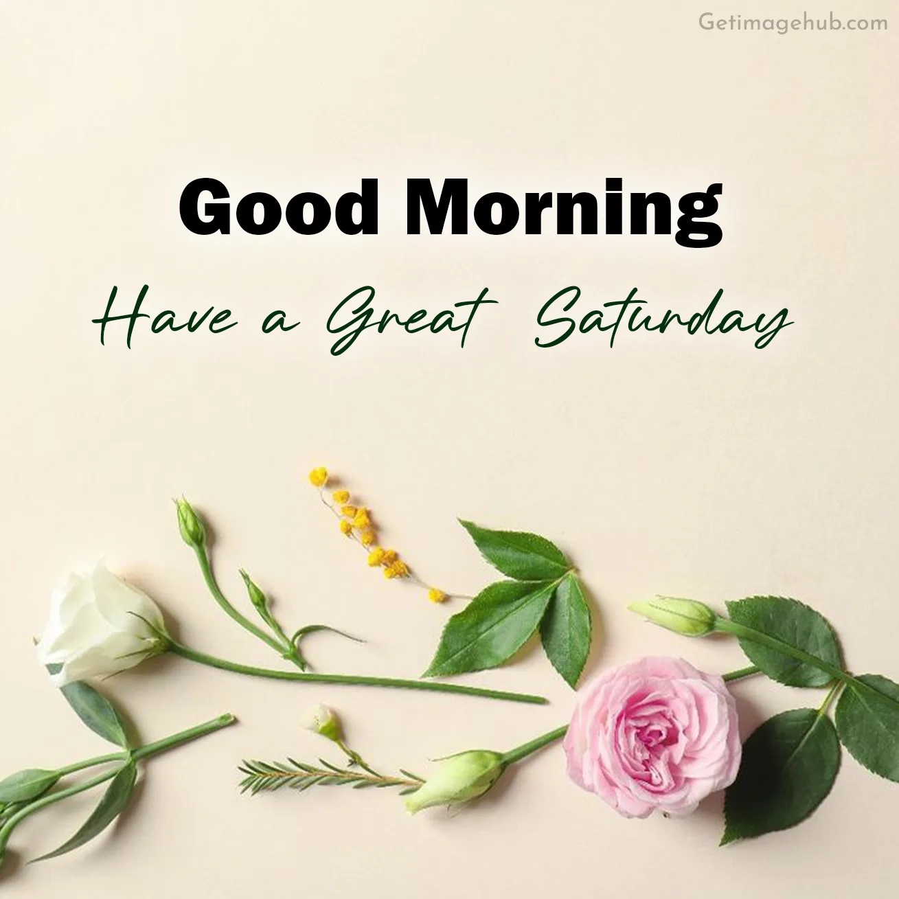 Flower Good Morning Saturday Images