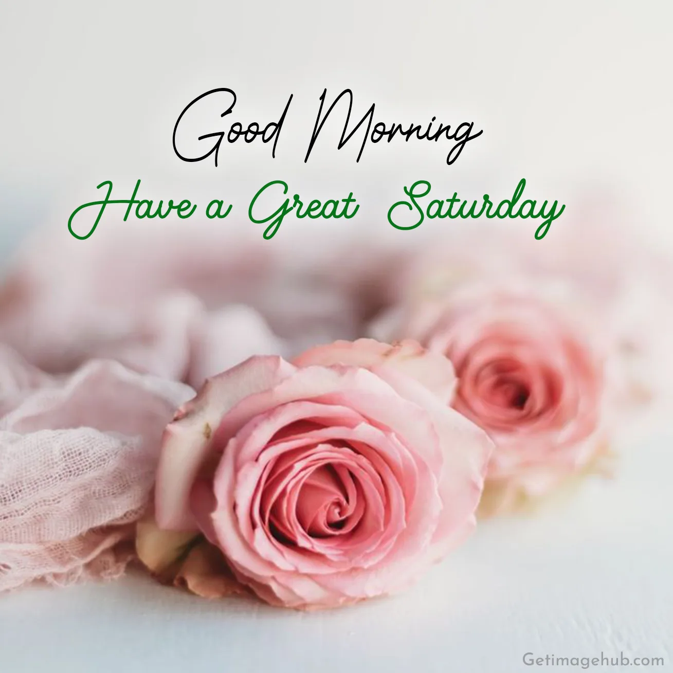 Flower Good Morning Saturday Pictures