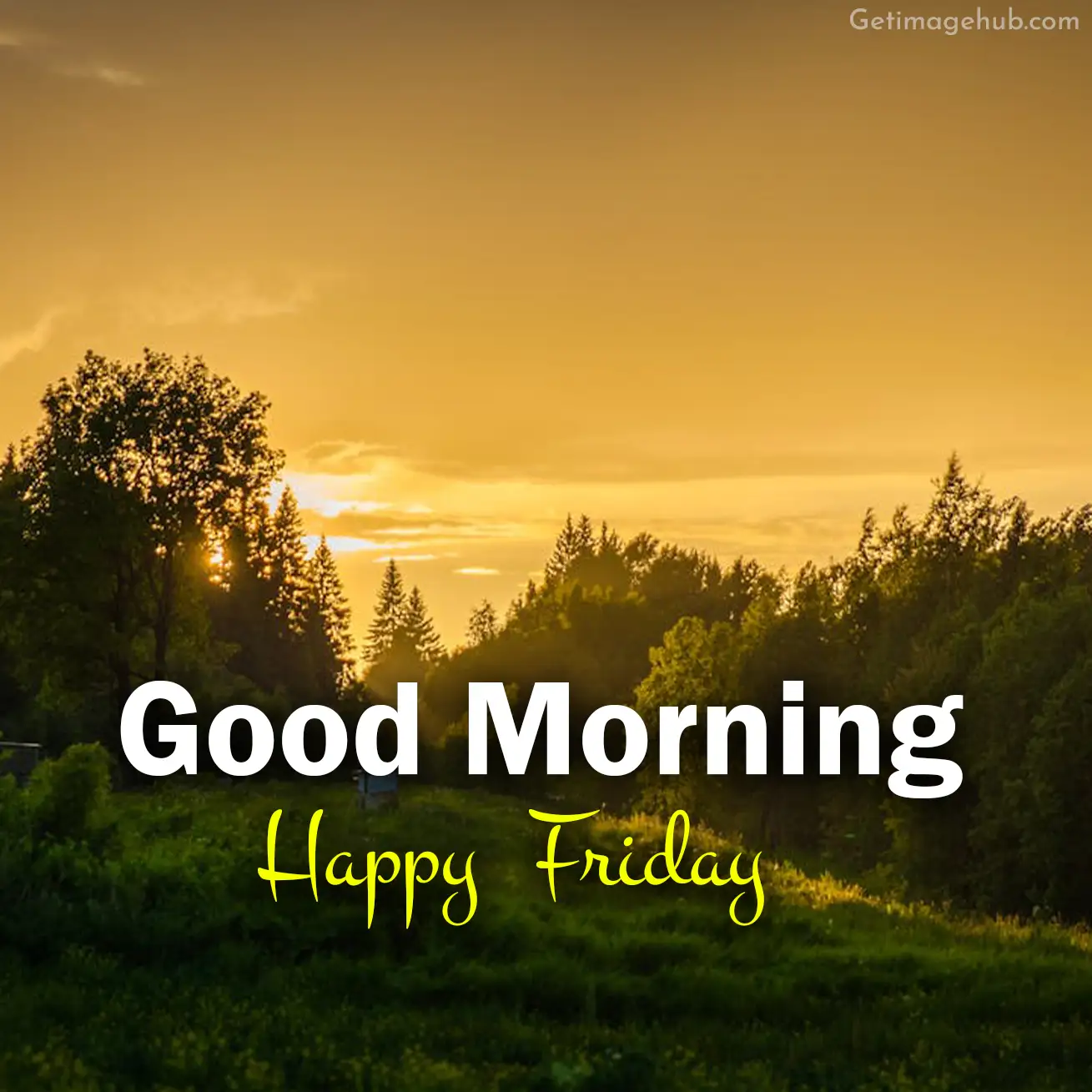 Friday Good Morning Pic