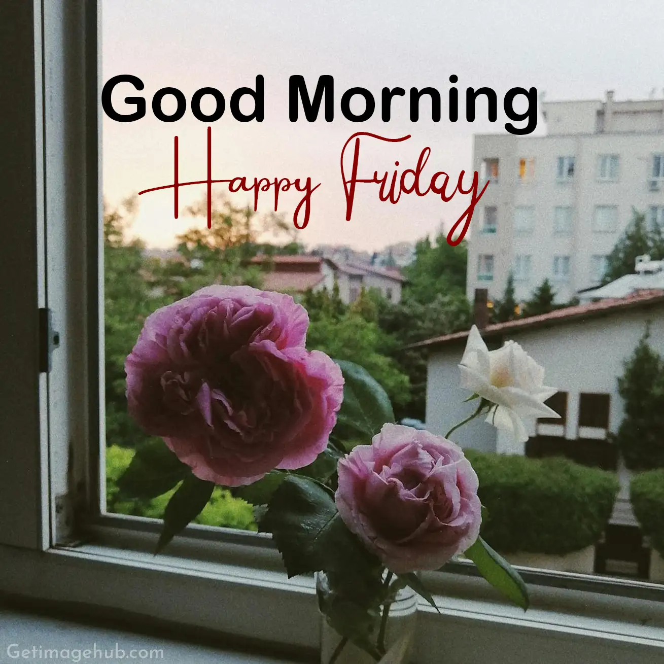 Friday Good Morning