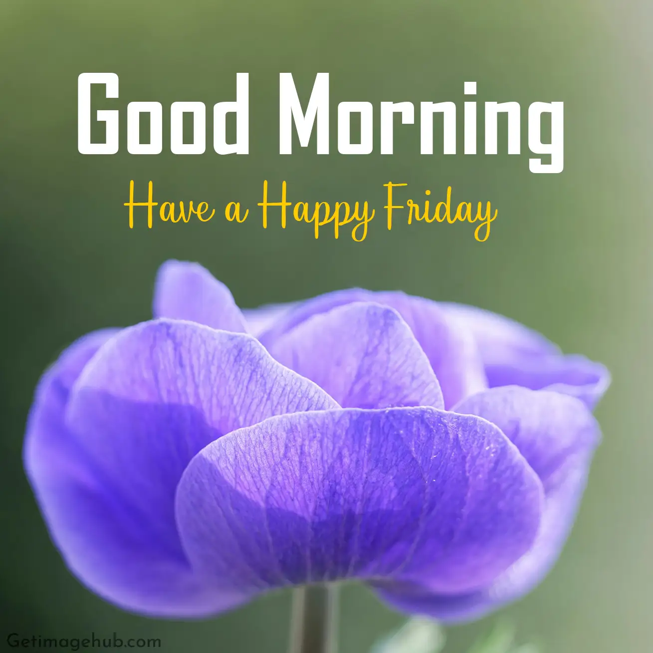 Good Morning Friday