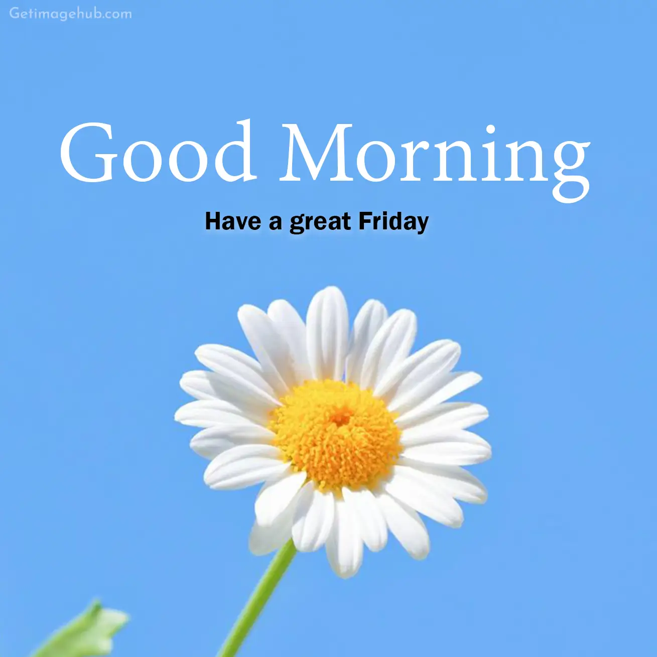 Good Morning Friday Images