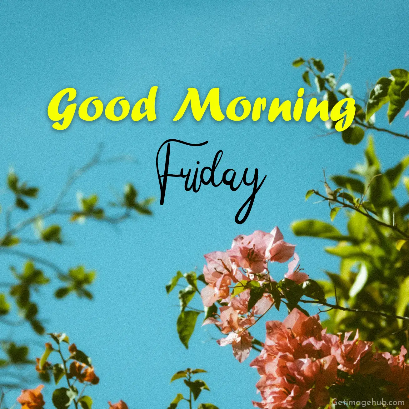 Good Morning Friday Images
