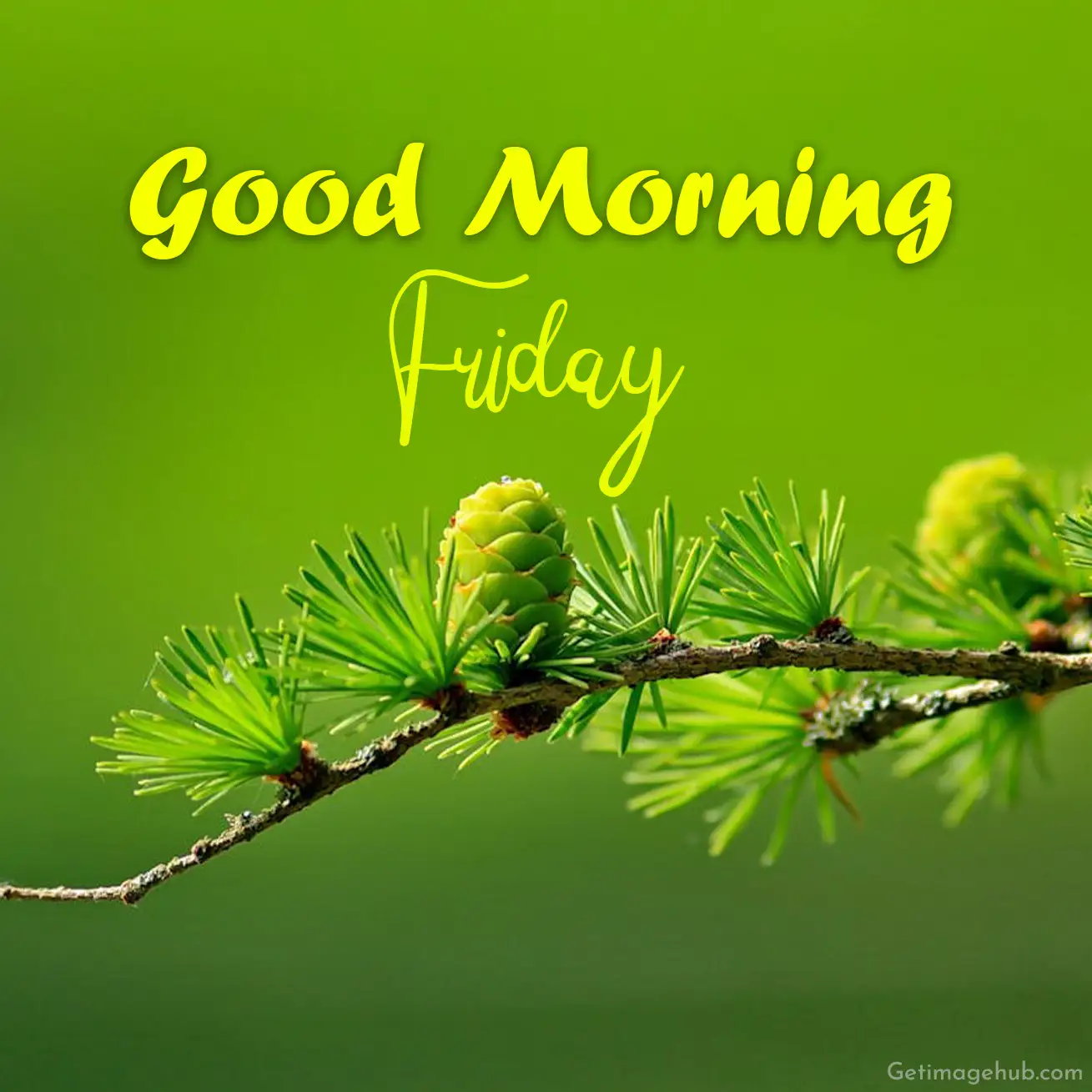 Good Morning Friday
