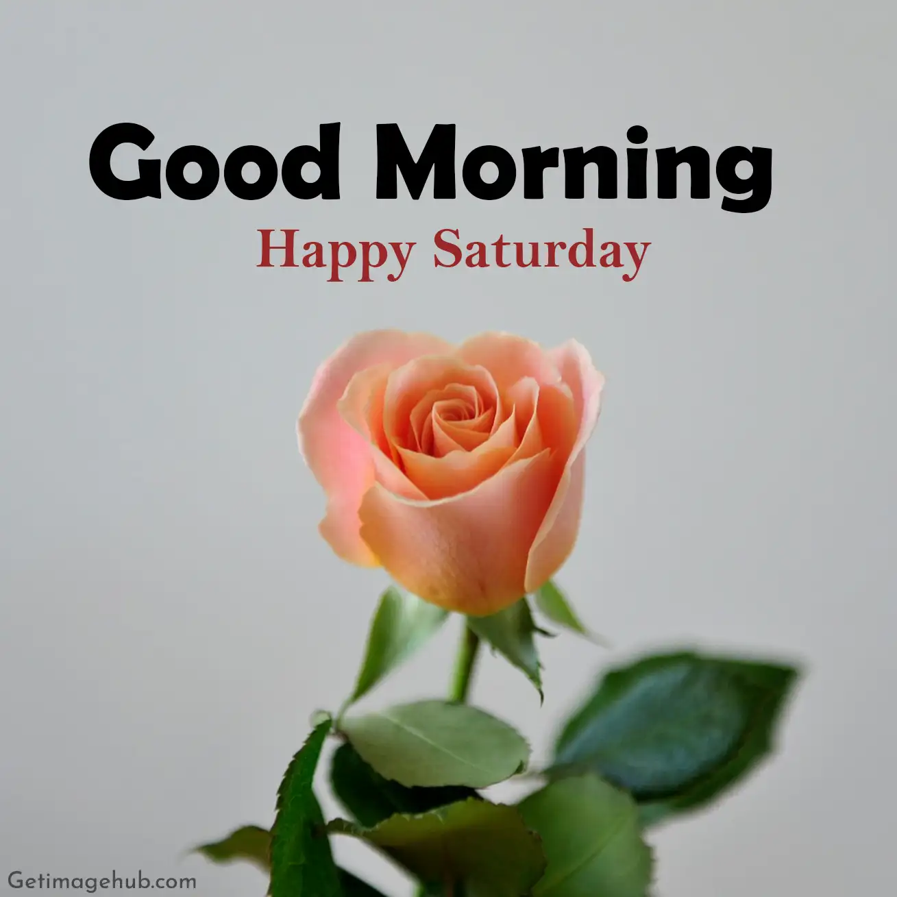 Good Morning Happy Saturday