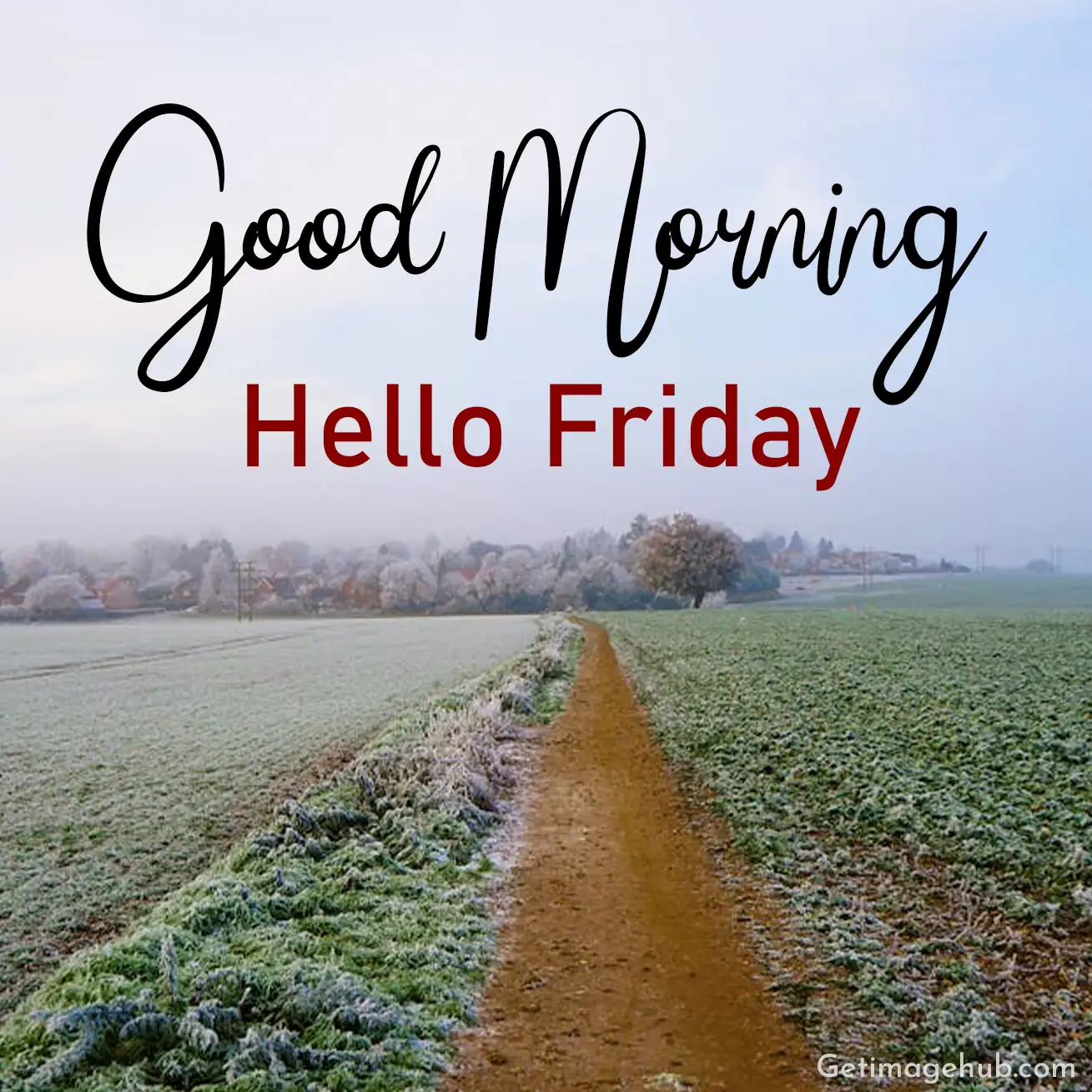 Good Morning Hello Friday Images