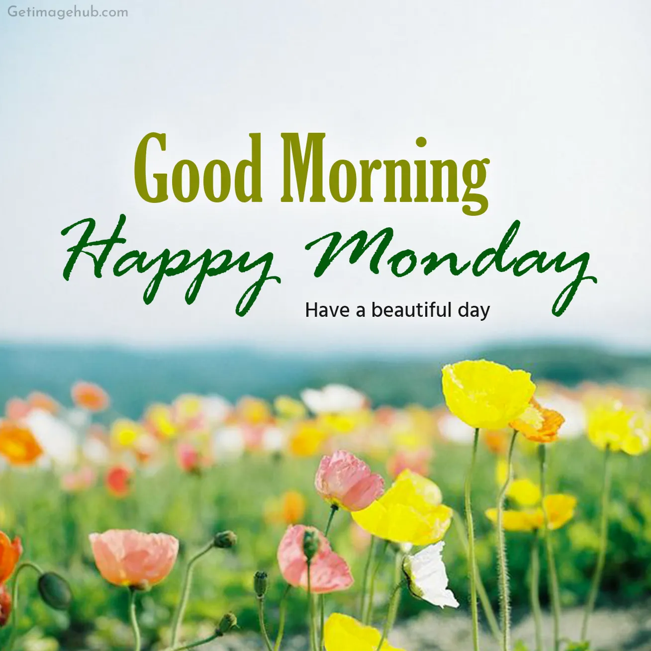 Good Morning Monday Photo