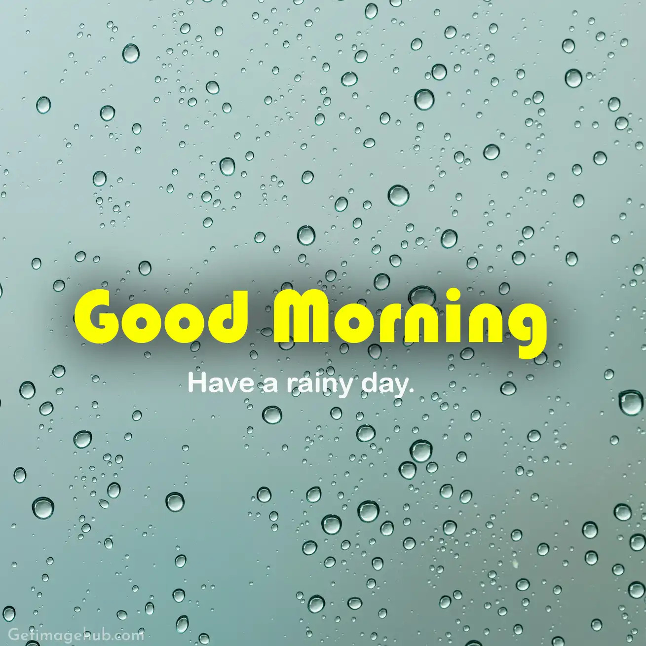 New Good Morning Have a Rainy Day