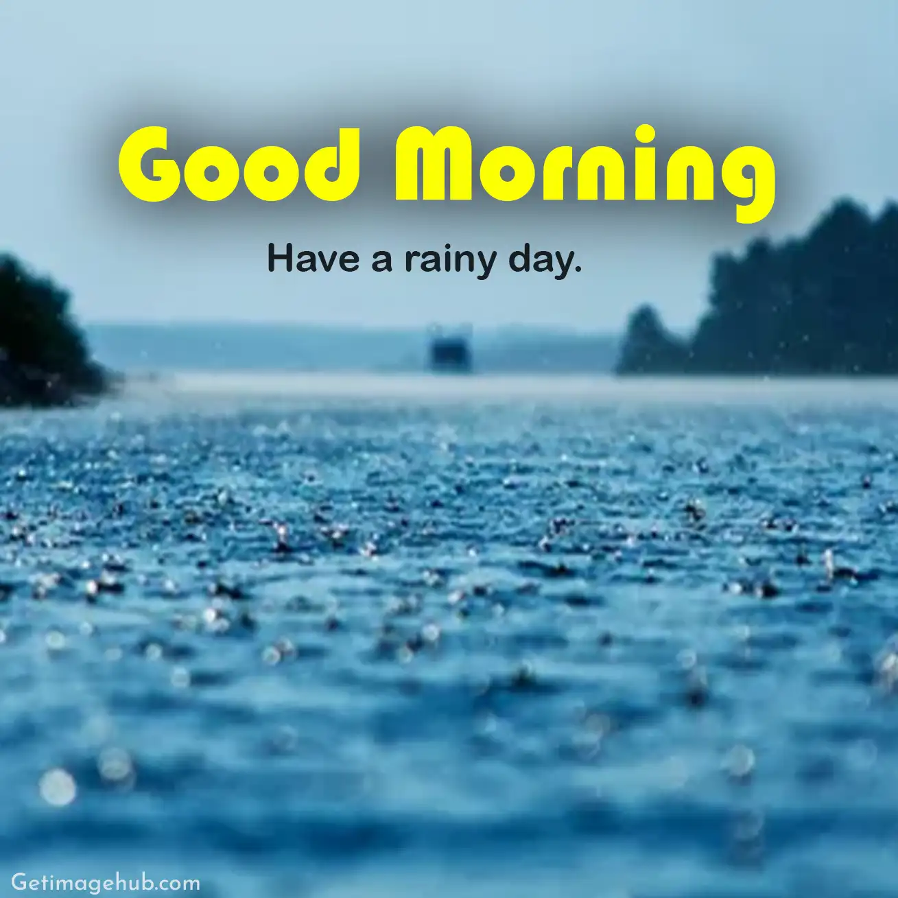 Good Morning Rain Photos