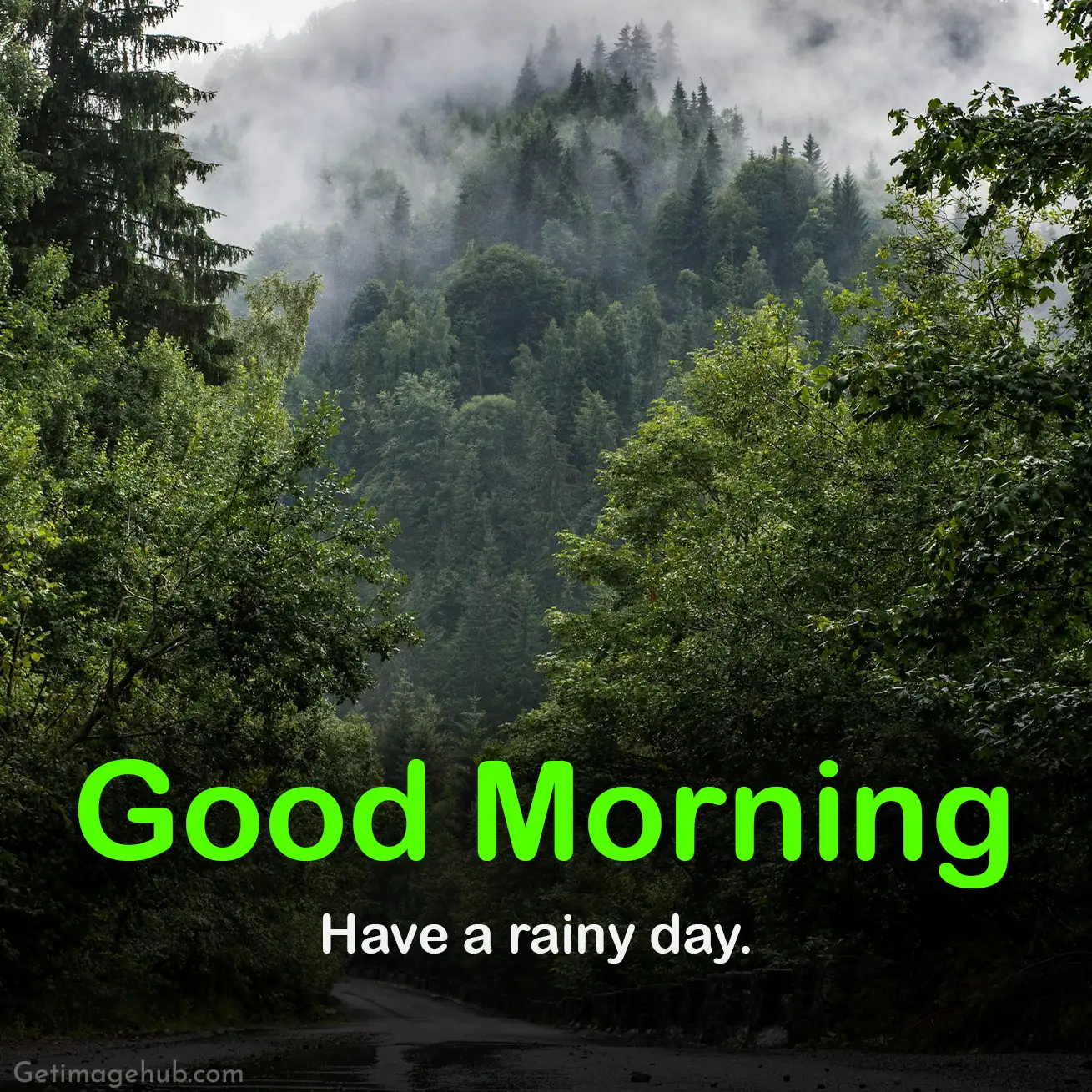 Good Morning Rainy Days