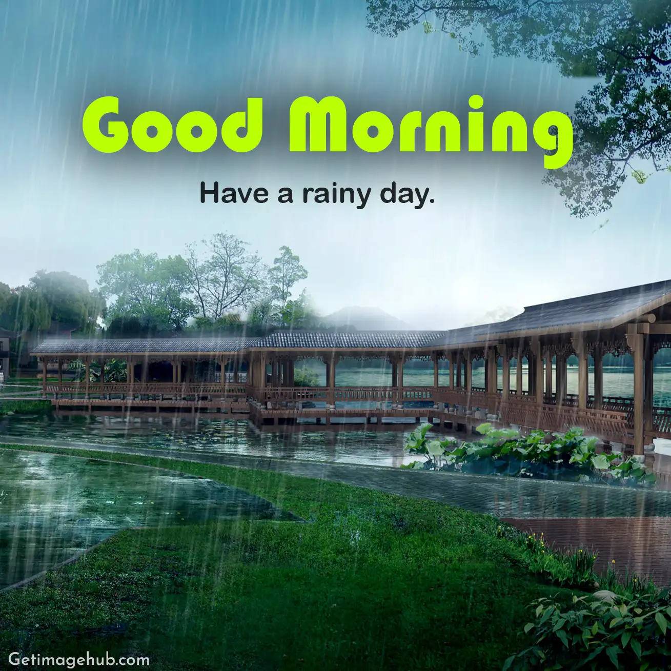 Good Morning Rainy Pic