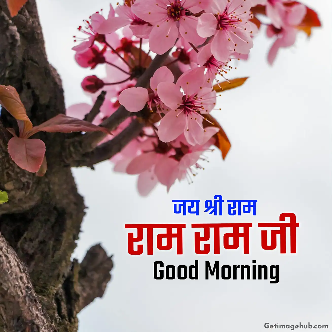 Good Morning Ram Ram Ji