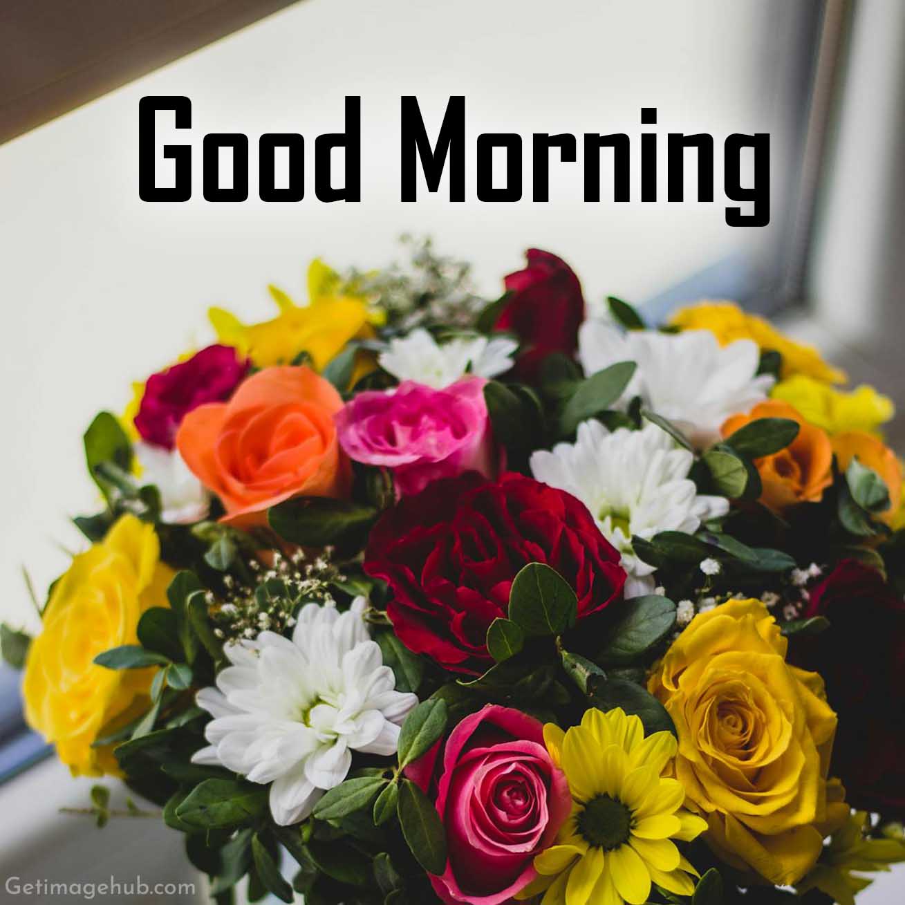 Good Morning Rose Image HD