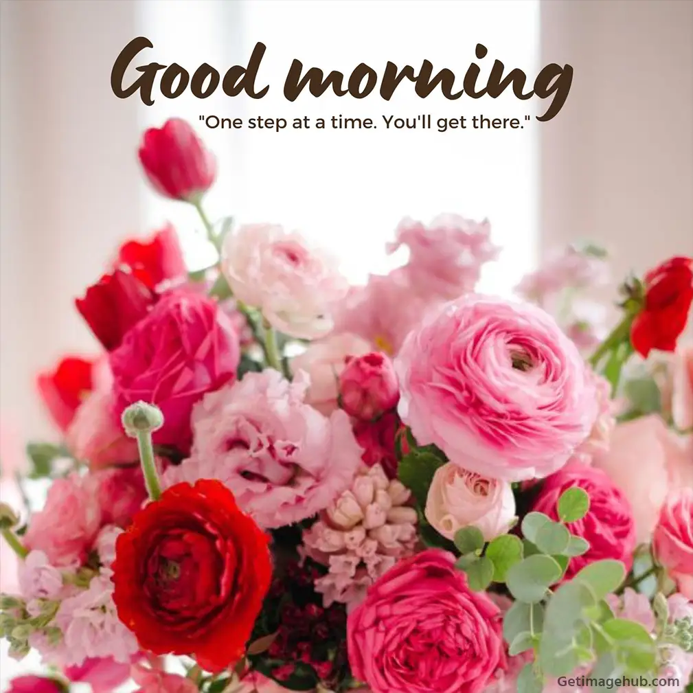 Good Morning Rose Pic