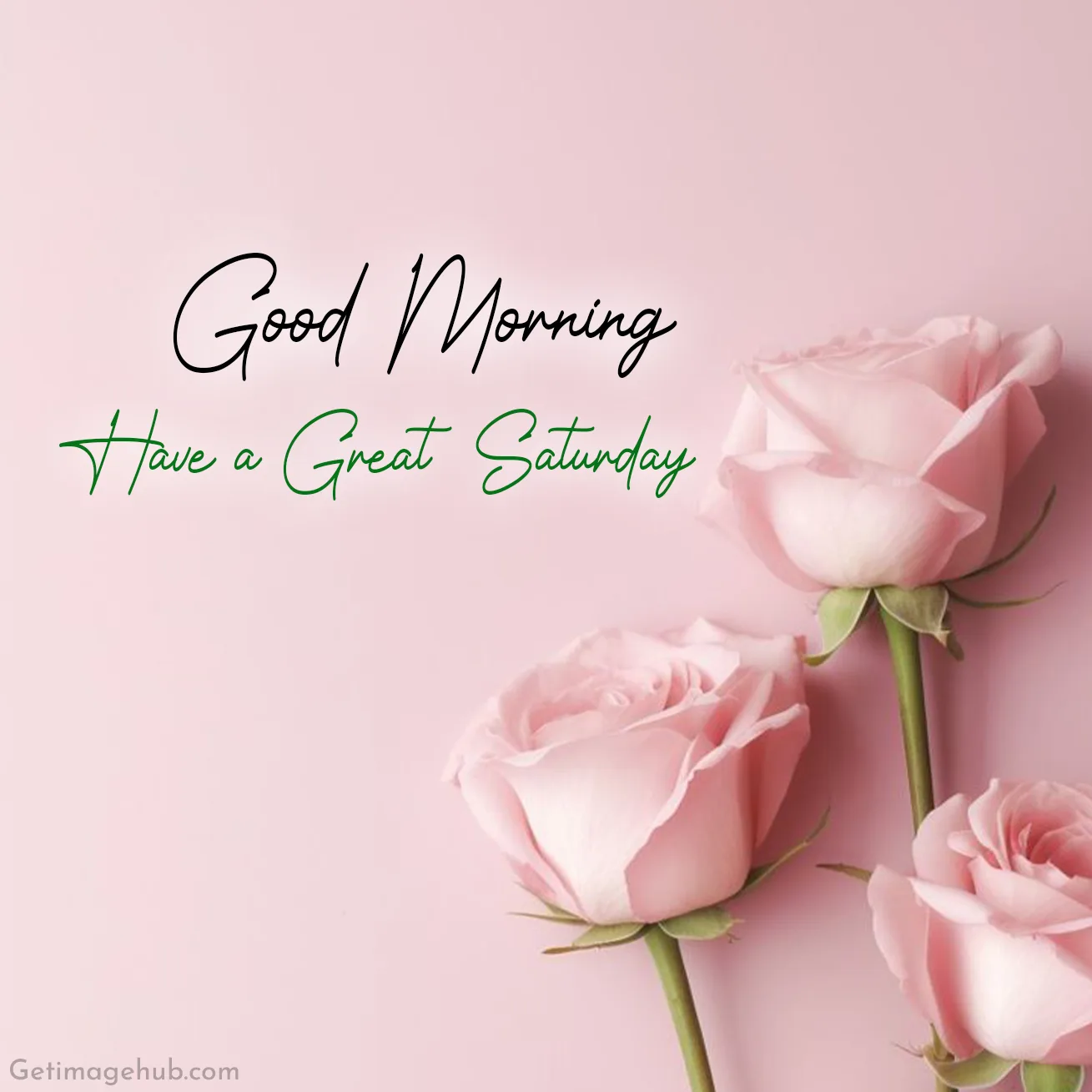 Good Morning Saturday Flower Image