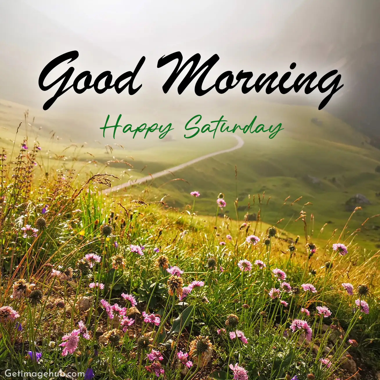 Good Morning Saturday Image