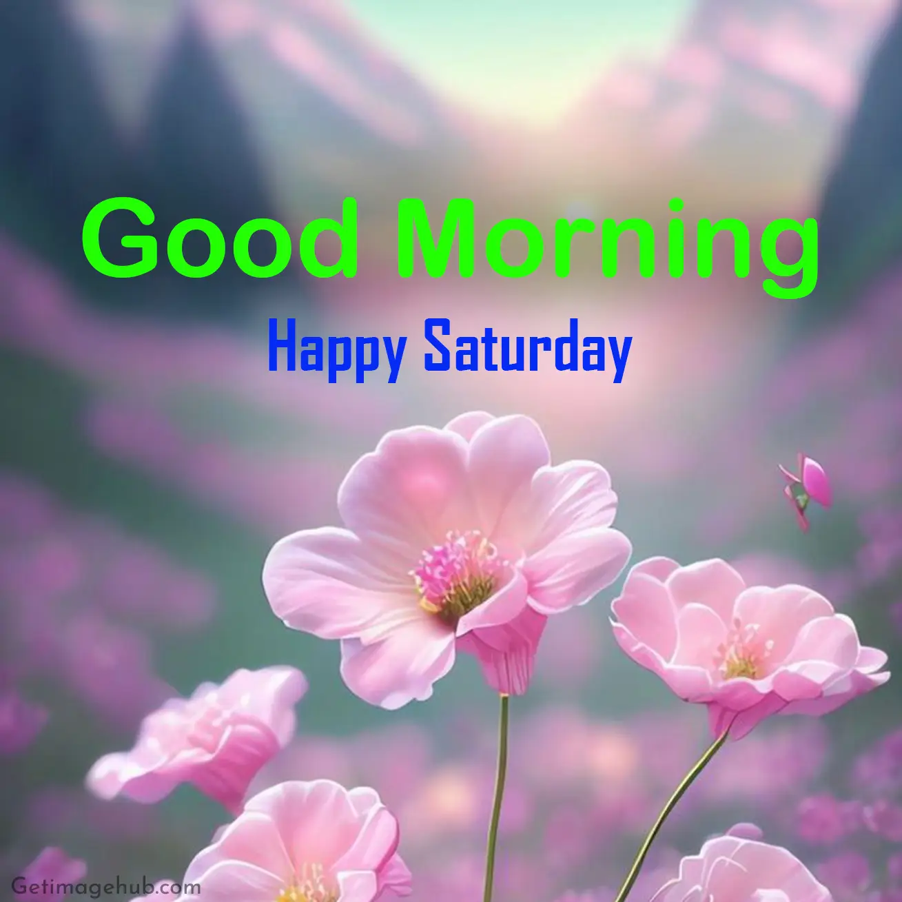 Good Morning Saturday Images HD