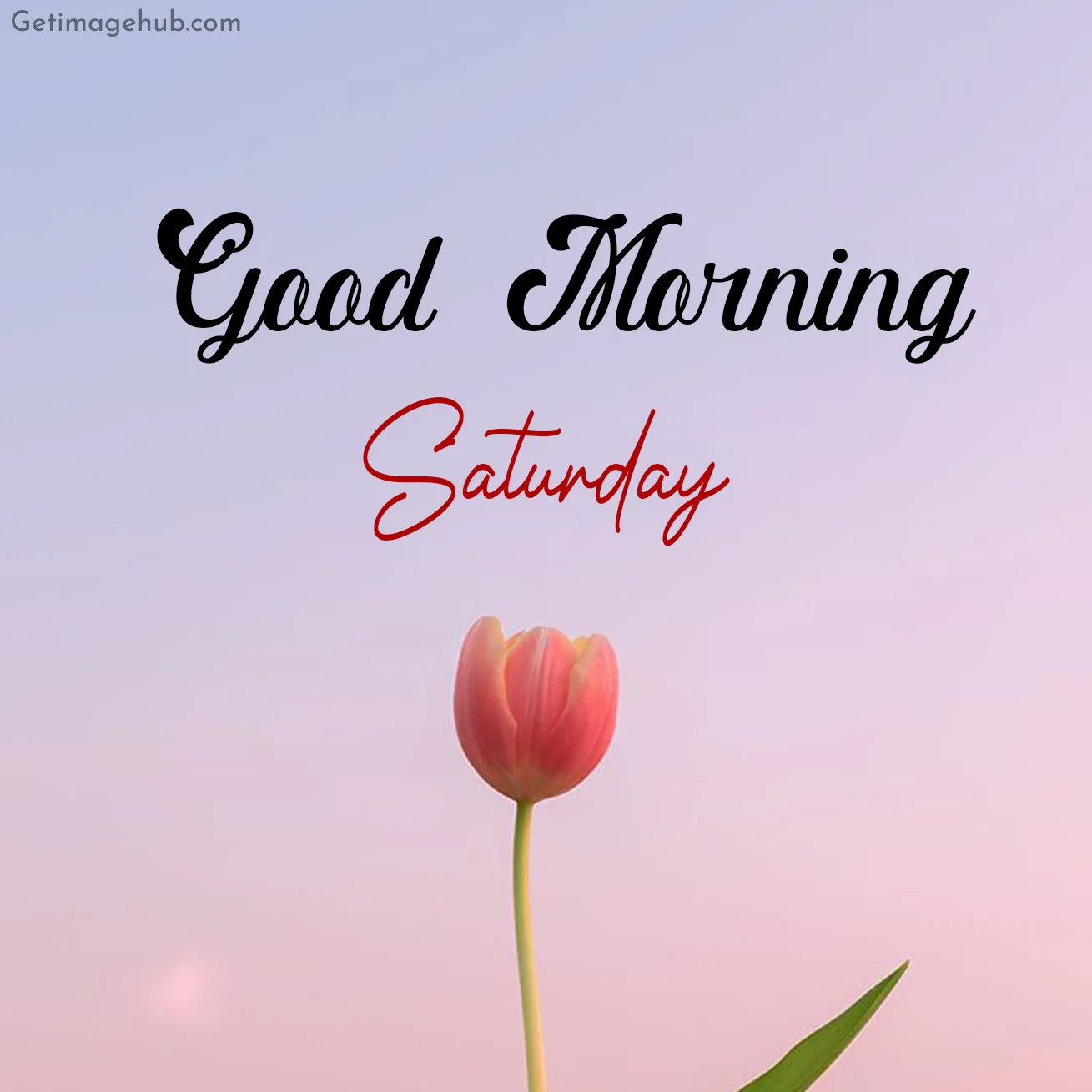 Good Morning Saturday Photos