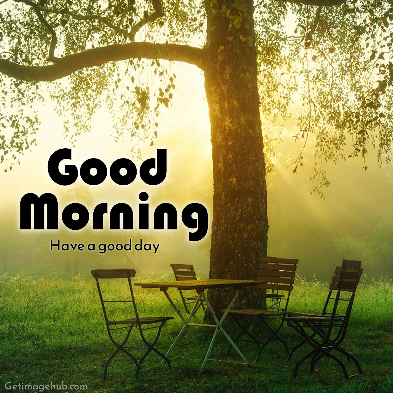 Good Morning Saturday Pic