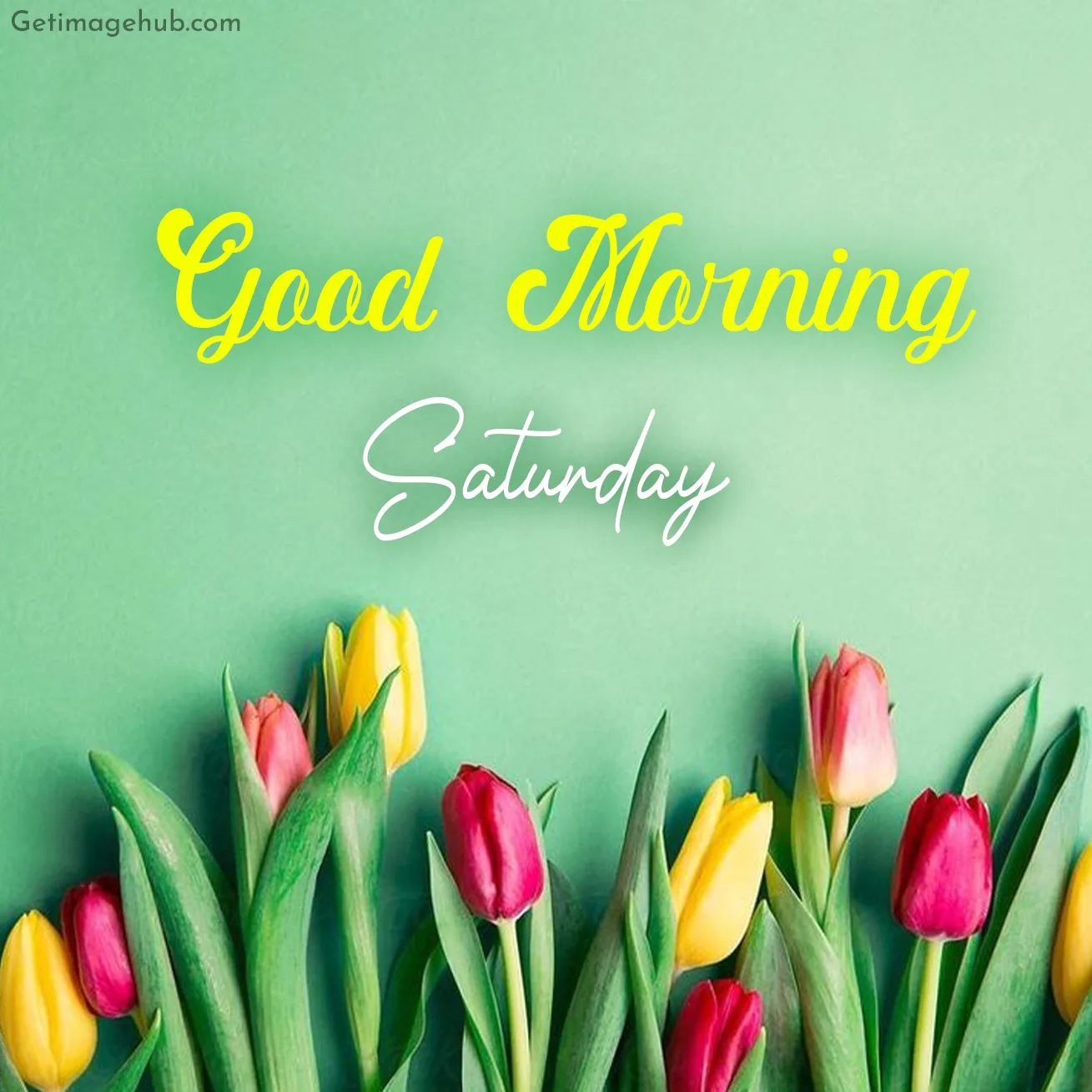 Good Morning Saturday Pic