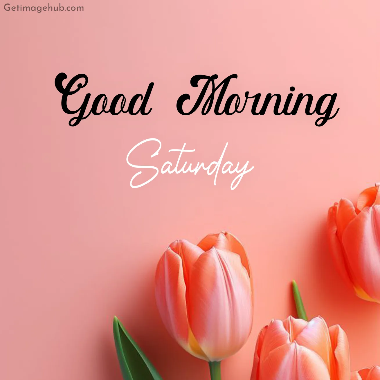 Good Morning Saturday Pictures
