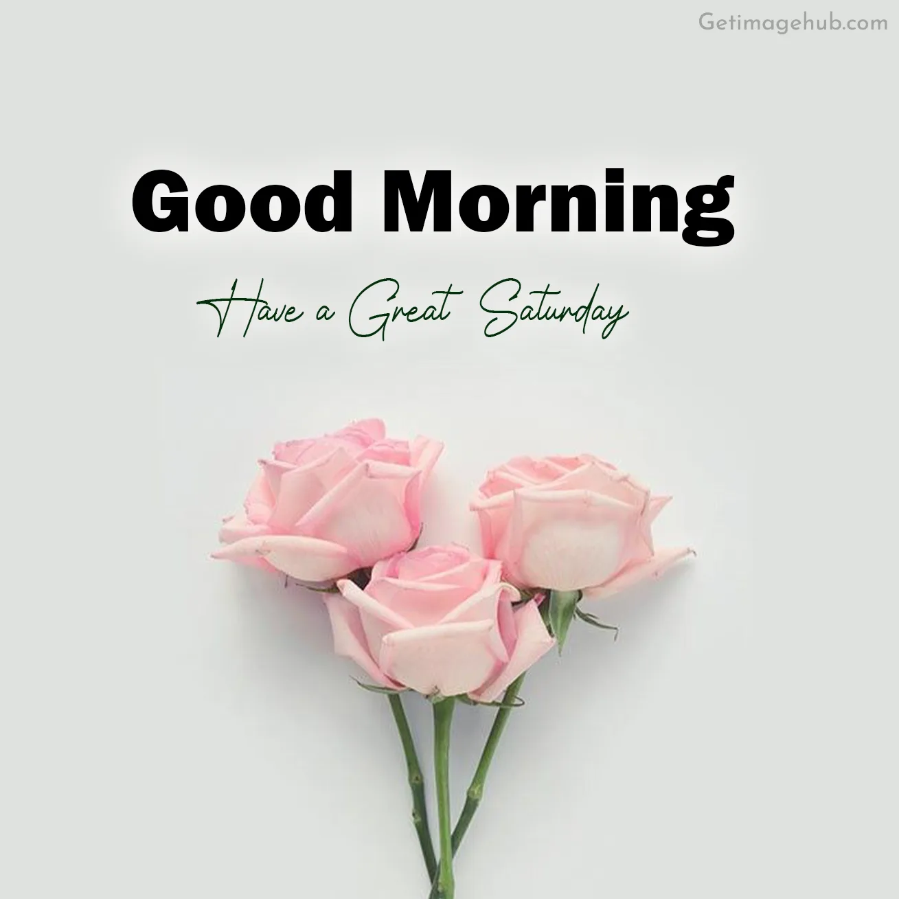 Great Saturday Flower Images