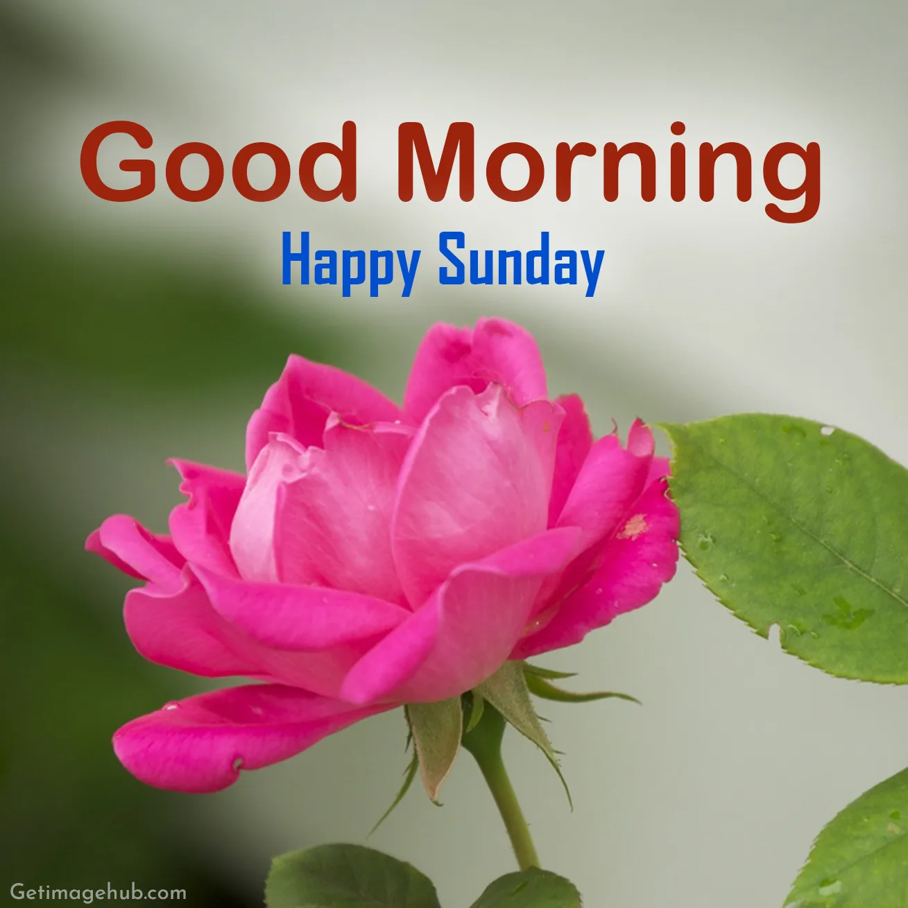 Happy Sunday Images for Free
