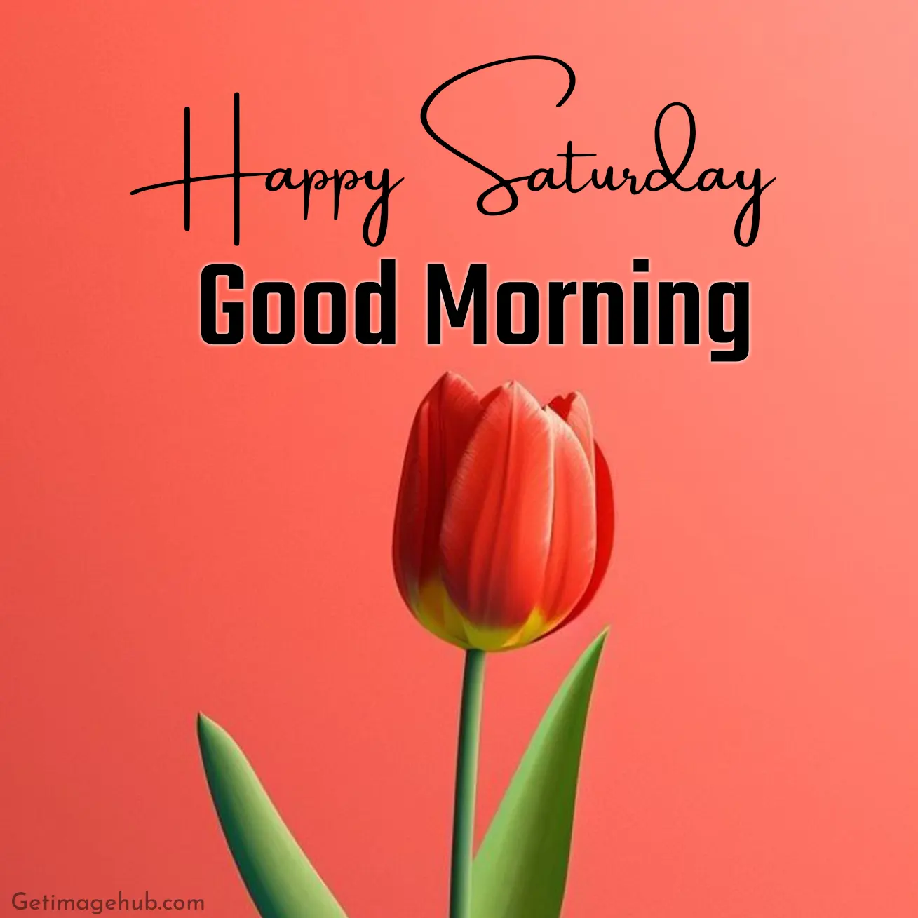 Morning Happy Saturday Image
