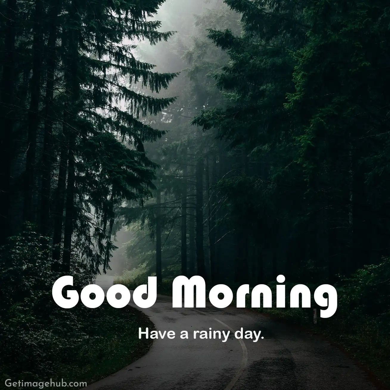 New Good Morning Have a Rainy Day