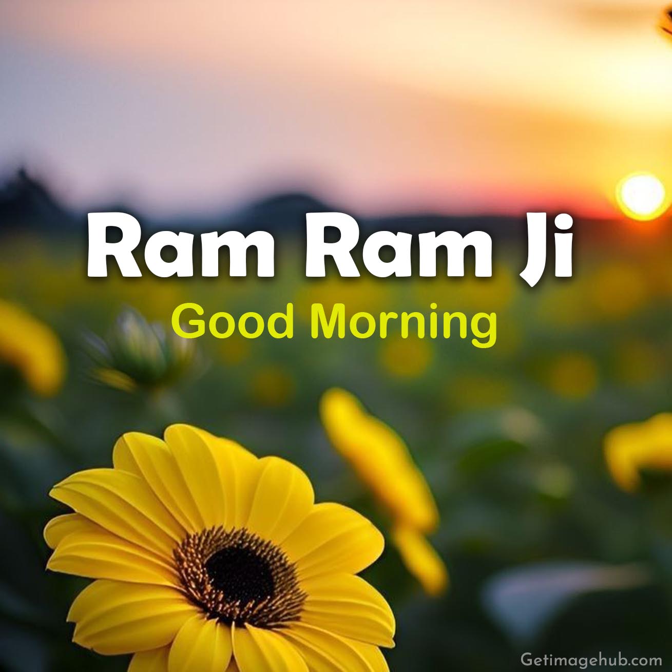 Ram Ram Ji English Main
