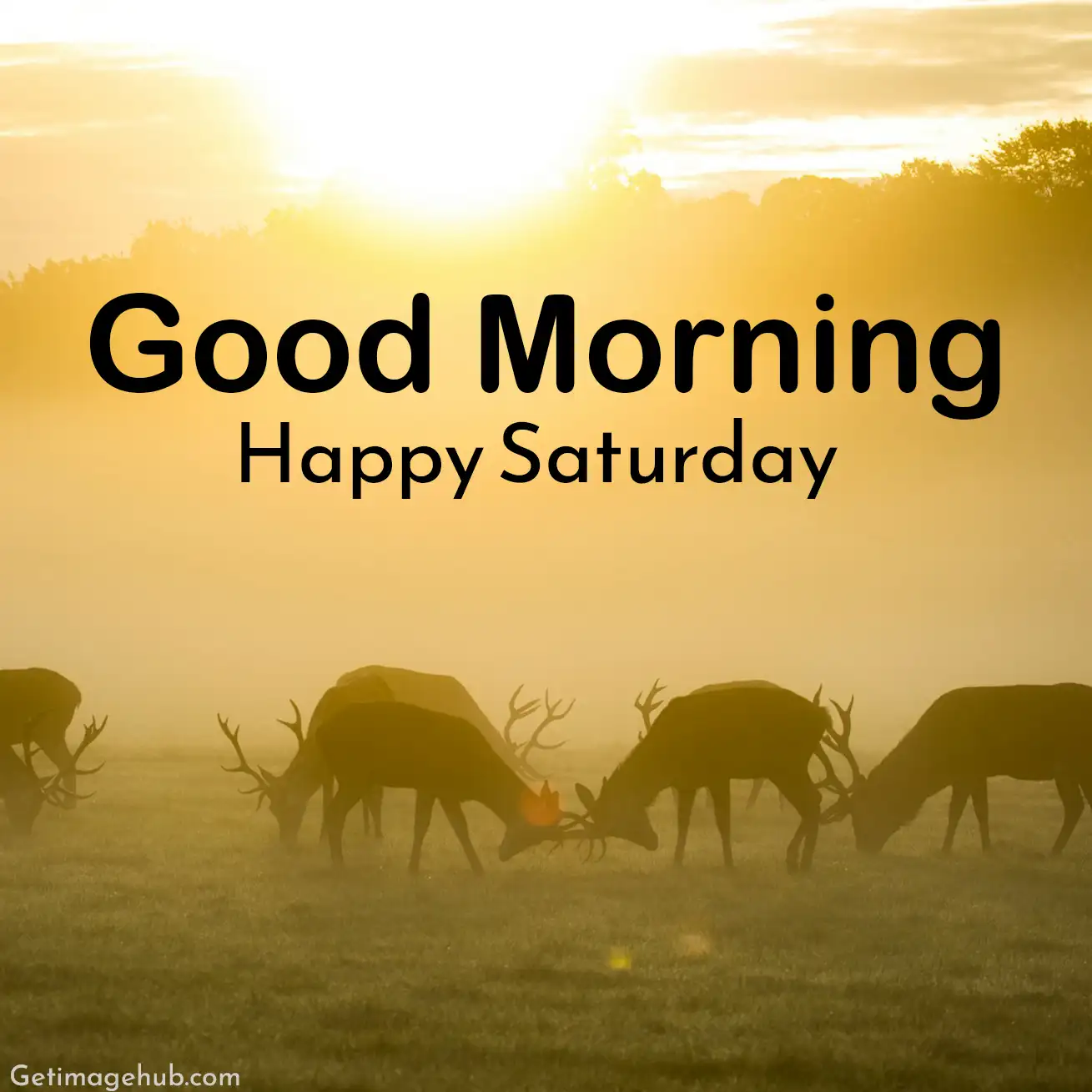 Saturday Images, Pic, Photos