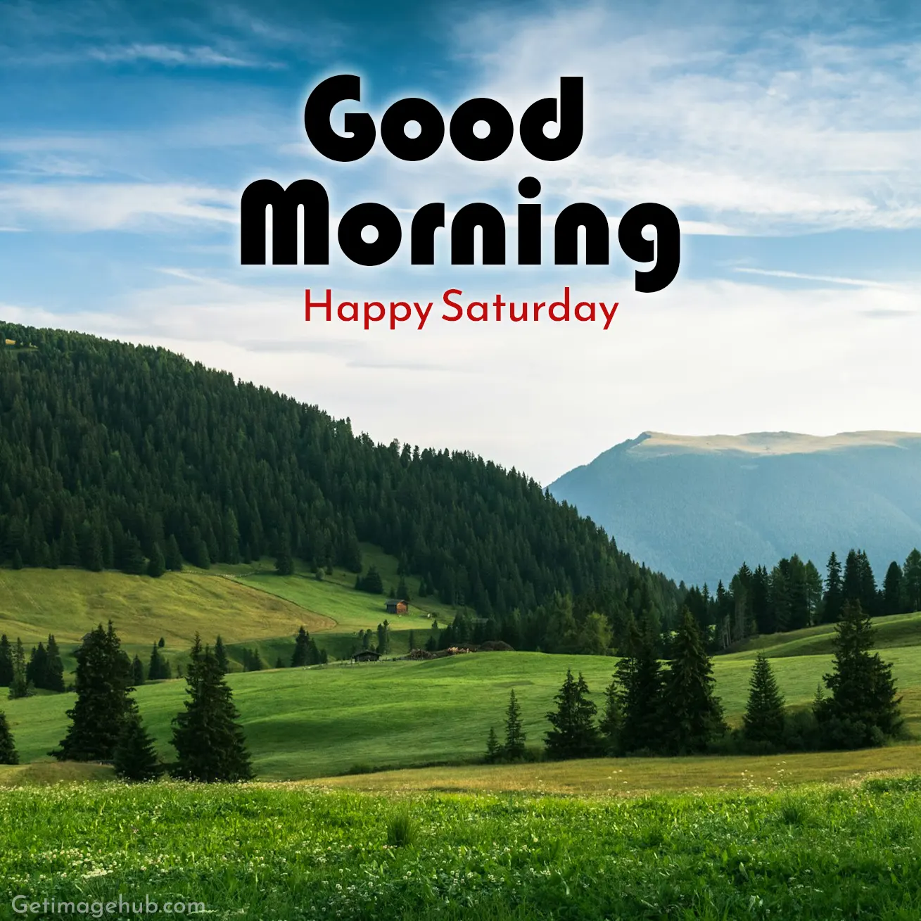 Saturday Morning Pic New 2024
