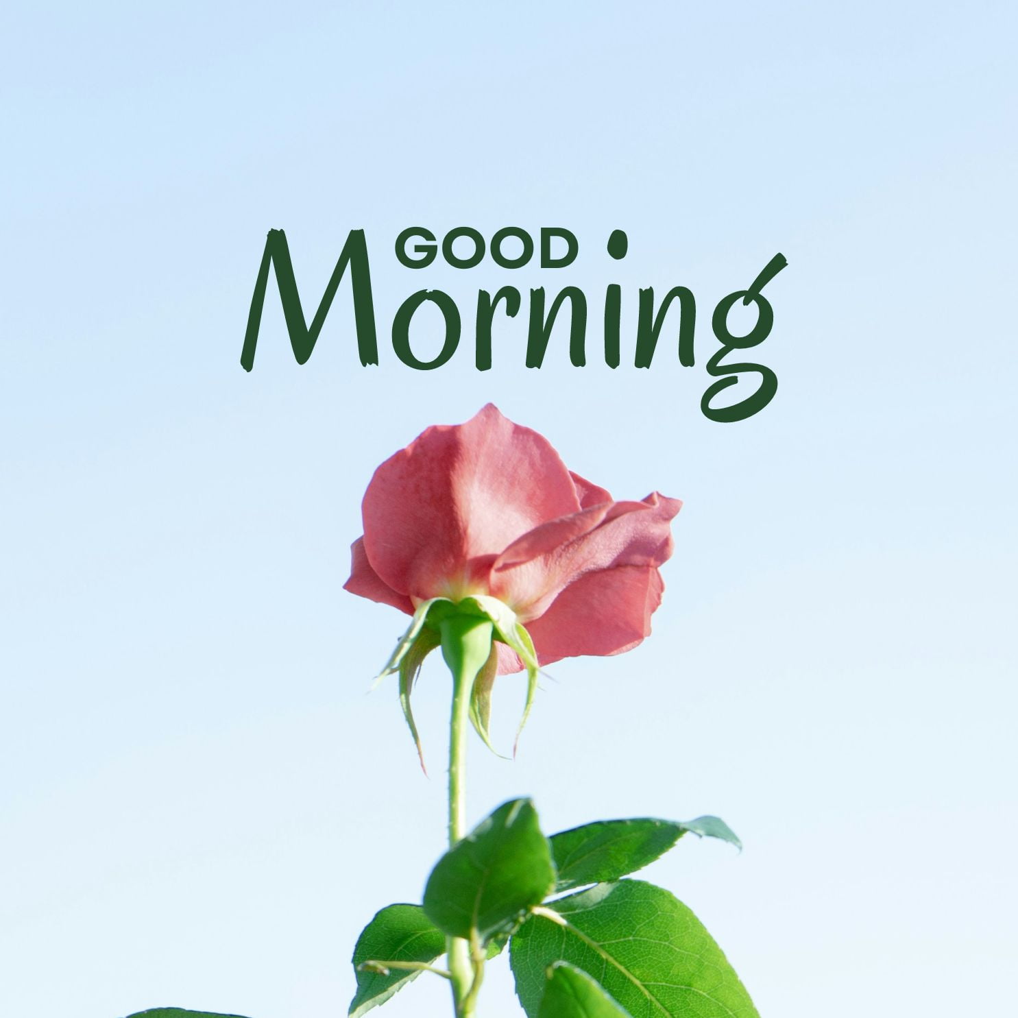 Yellow and Green Modern Good Morning