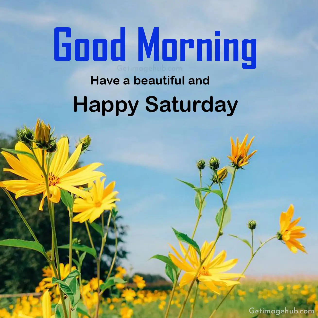 good morning beautiful saturday