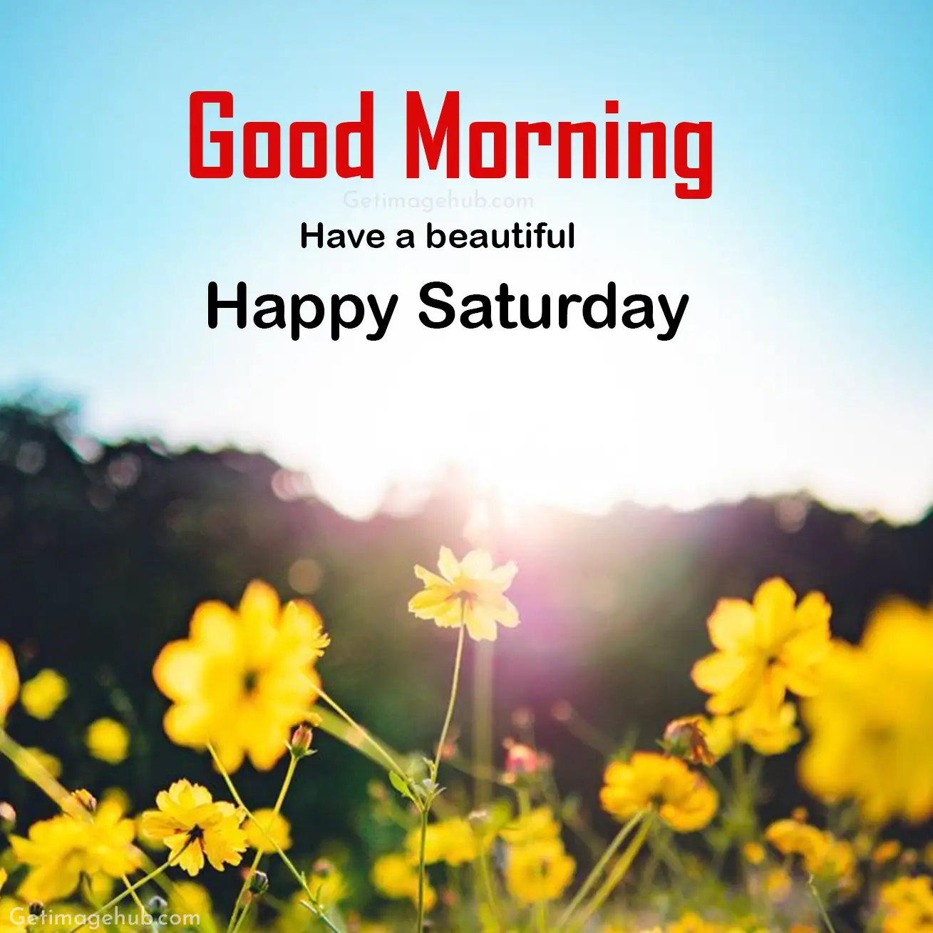 good morning happy saturday