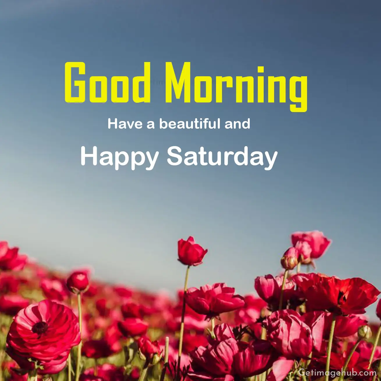good morning saturday images hd